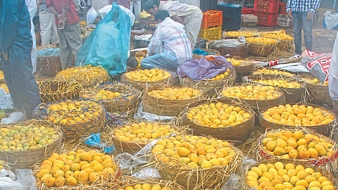 Mango Market
