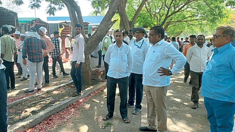 Lasalgaon APMC 