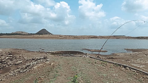 Water Management