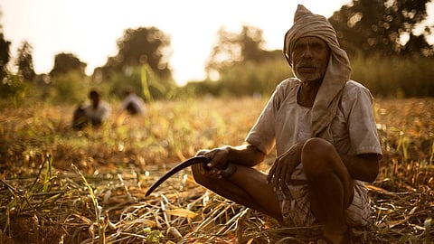 Farmer 