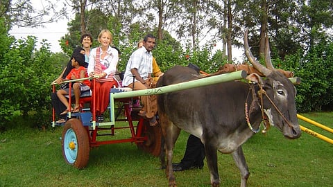 Agri Tourism 