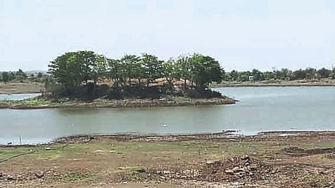 Rural Development