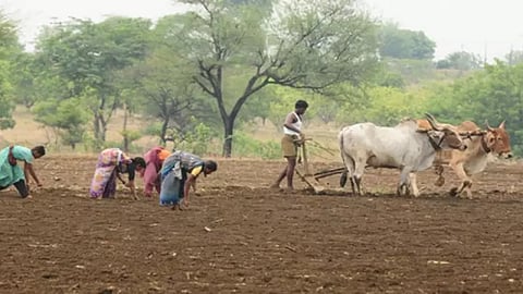 Monsoon Update