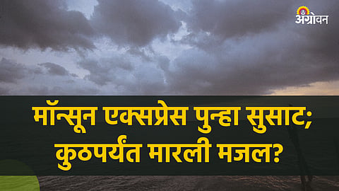 Monsoon 2023