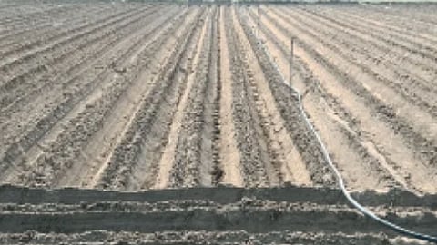 Kharif Season