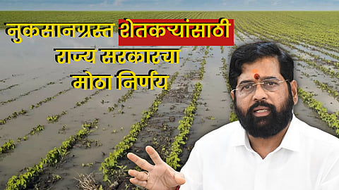 Maharashtra Crop Damage Compensation