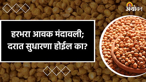 Chana Market