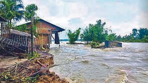 Assam Flood 