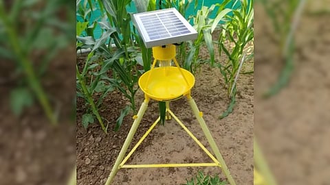 PDKV Solar Light Insect Trap