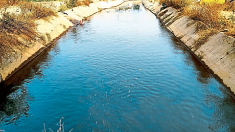 Irrigation 