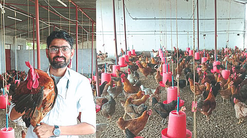 Poultry Business