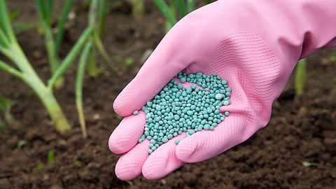 Fertilizer Rate
