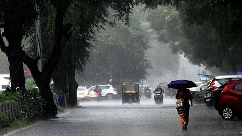 Rain