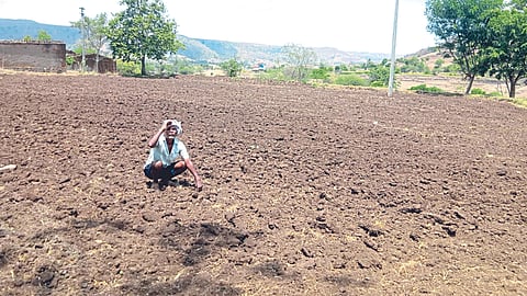 Monsoon Update