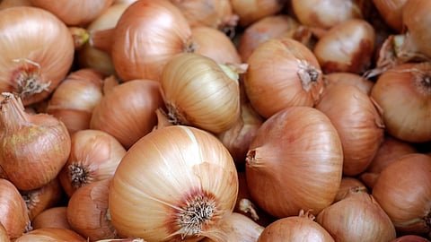 Onion 