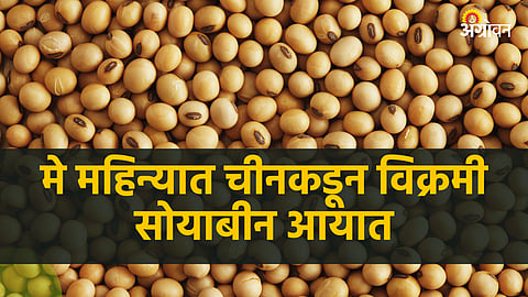 Soybean Import