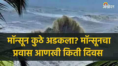 Monsoon Update