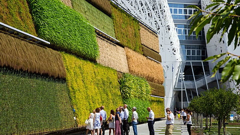 Vertical Farming