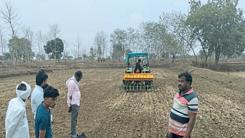 Rice Sowing