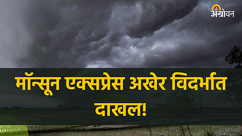 Monsoon 2023