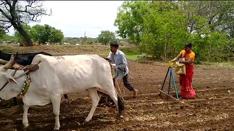 Agriculture