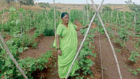 Rahibai Popere