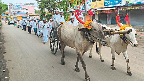 Ashadhi Wari