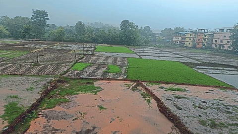 Rain Update