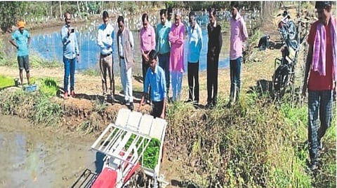 Rice Plant Machine