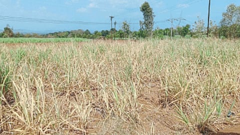 Water Shortage
