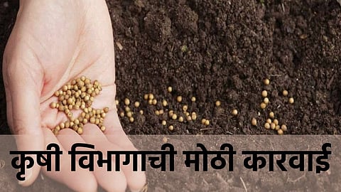 Bogus Seed Ahmednagar