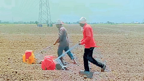 Kharif Sowing