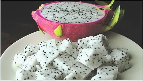 Dragon Fruit