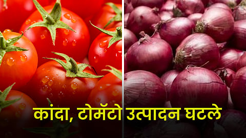 Tomato Onion 
