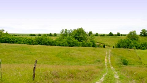 Rural Road