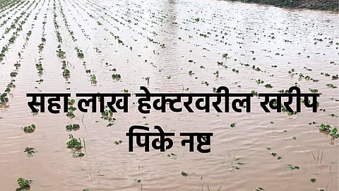 Kharif Crop Damage 