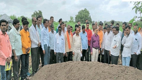 Organic Farming 
