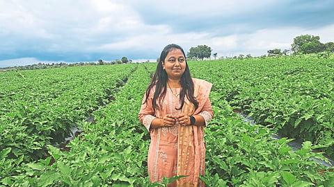 Agro Tourism