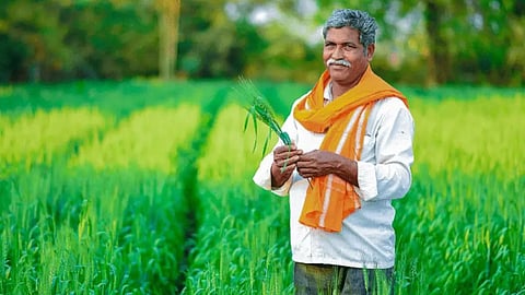 Farmer