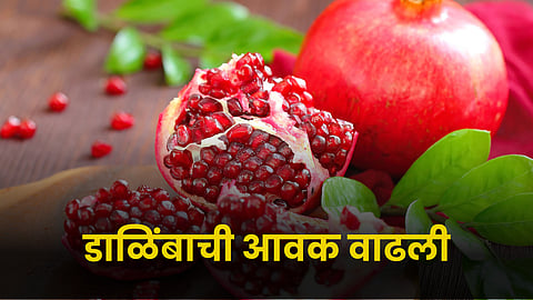 Pomegranate 