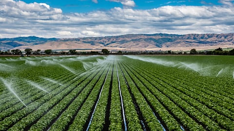 Water Management 