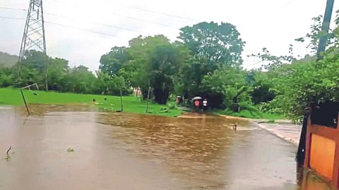 Rain Update 