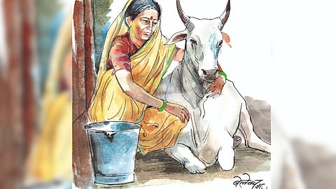 Agriculture Rural Story 