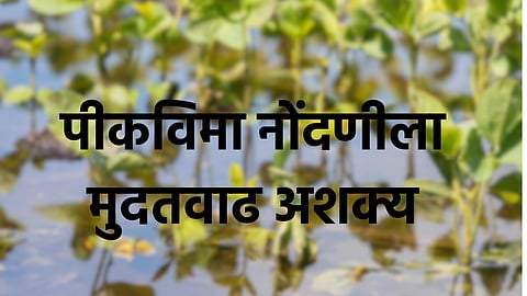 Crop Insurance