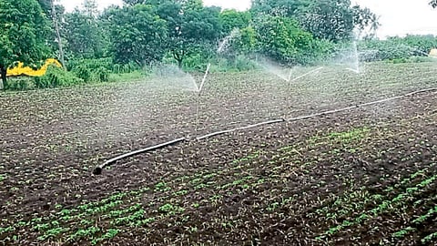 Farming