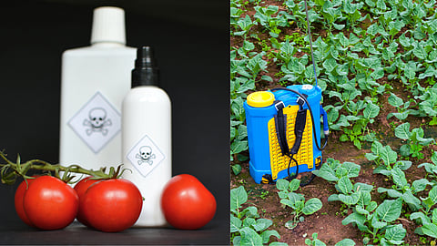 Pesticide Use