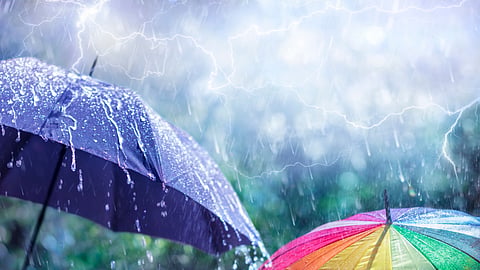 Rain