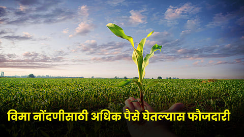 crop Insurance 
