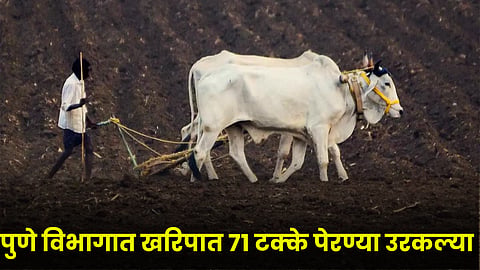 Kharif Sowing