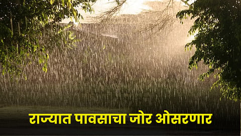 Rain